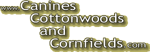 www.caninescottonwoodsandcornfields.com