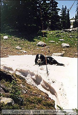 dad12-640.jpg