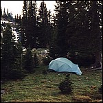 980711camp2.jpg