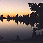 980716flyfishing2.jpg
