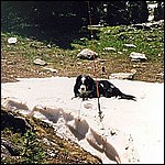 dad12-640.jpg