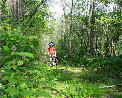 Everest and I hiking from the parking lot to Glen Wendel campground - 5/15/2003