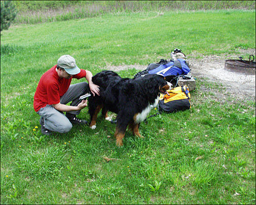 Brushing the ticks out - 5/15/2003