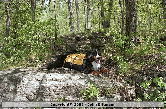 Everest takes a break. - 5/16/2003