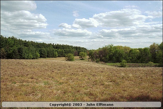 Prairie after a long, tough, uphill hike. - 5/16/2003