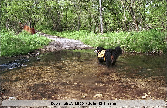 Creek crossing - 5/17/2003