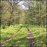 The trail parallels Paint Creek much of the way. - 5/16/2003