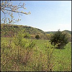 One of the many nice views on the way up out of the valley. - 5/16/2003