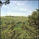 Yet another view of the valley & bluffs - 5/16/2003