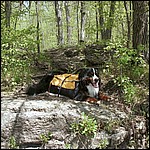 Everest takes a break. - 5/16/2003