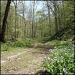 Trail in the valley - 5/16/2003