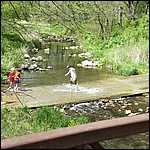 Sliding on the algae covered road - 5/16/2003